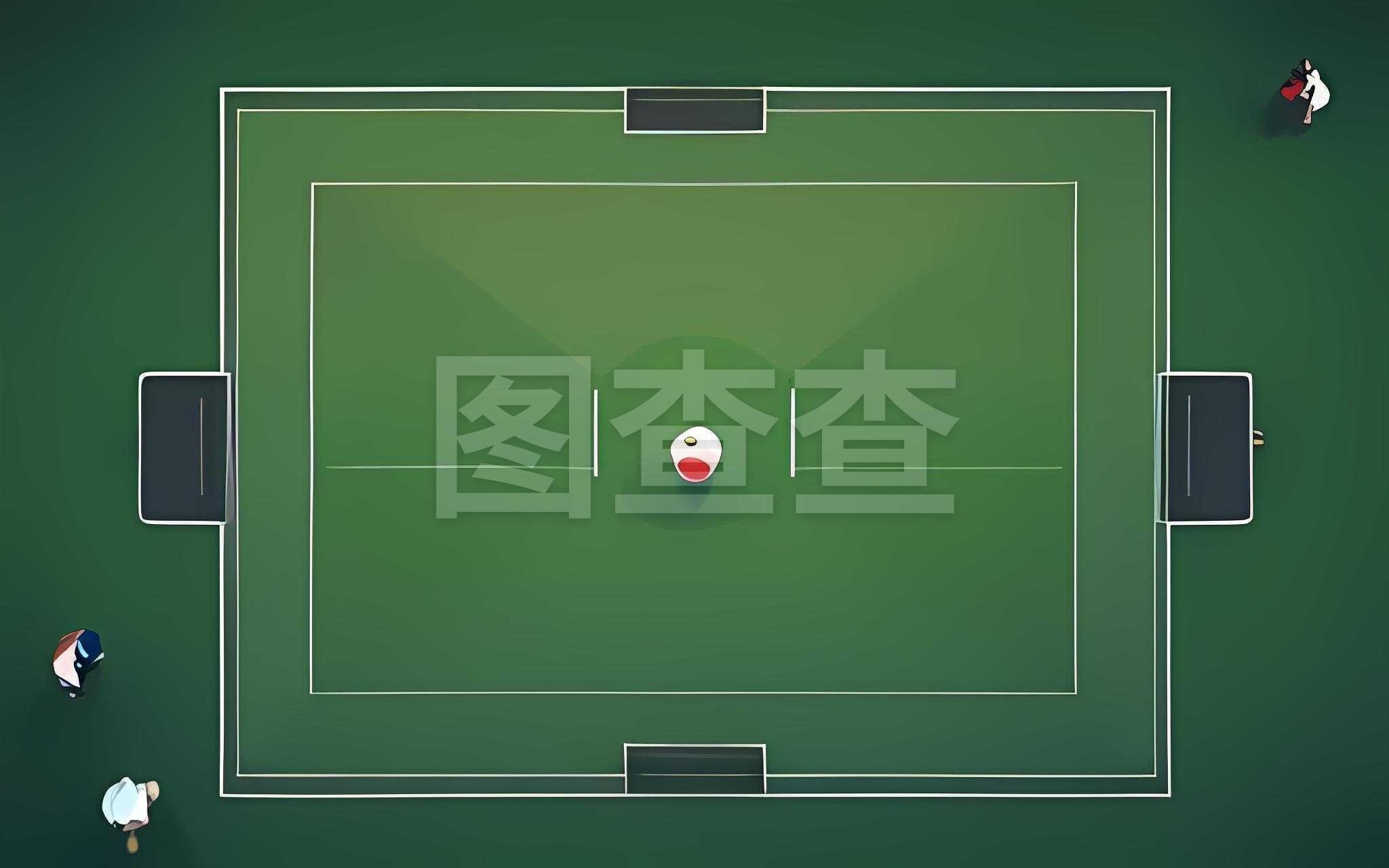 两位年轻球