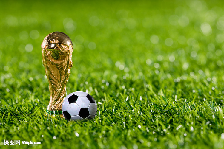 猛龙被迫在 猛龙被迫在